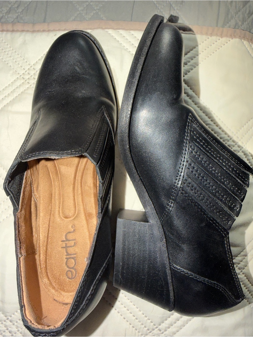 Earth Black Leather Slip-On Ankle Shoes for Men